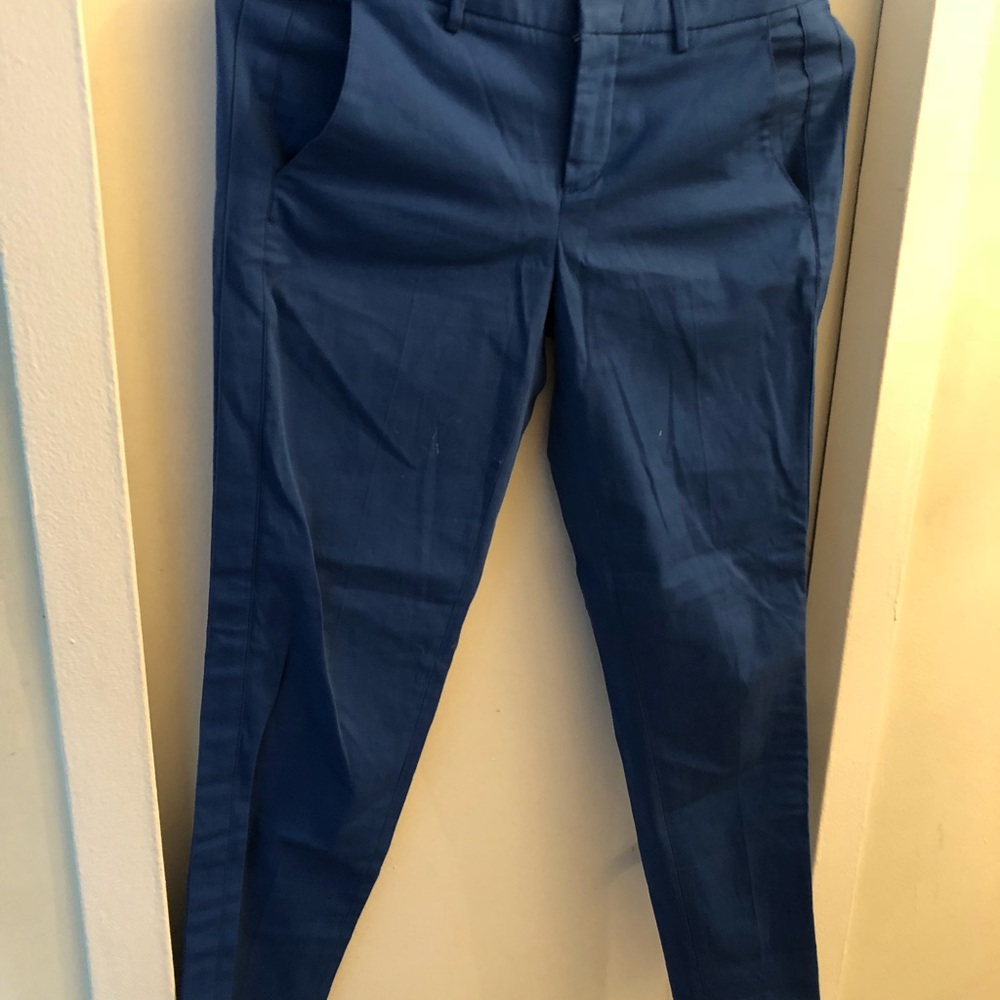 Blue Vince pants size 2